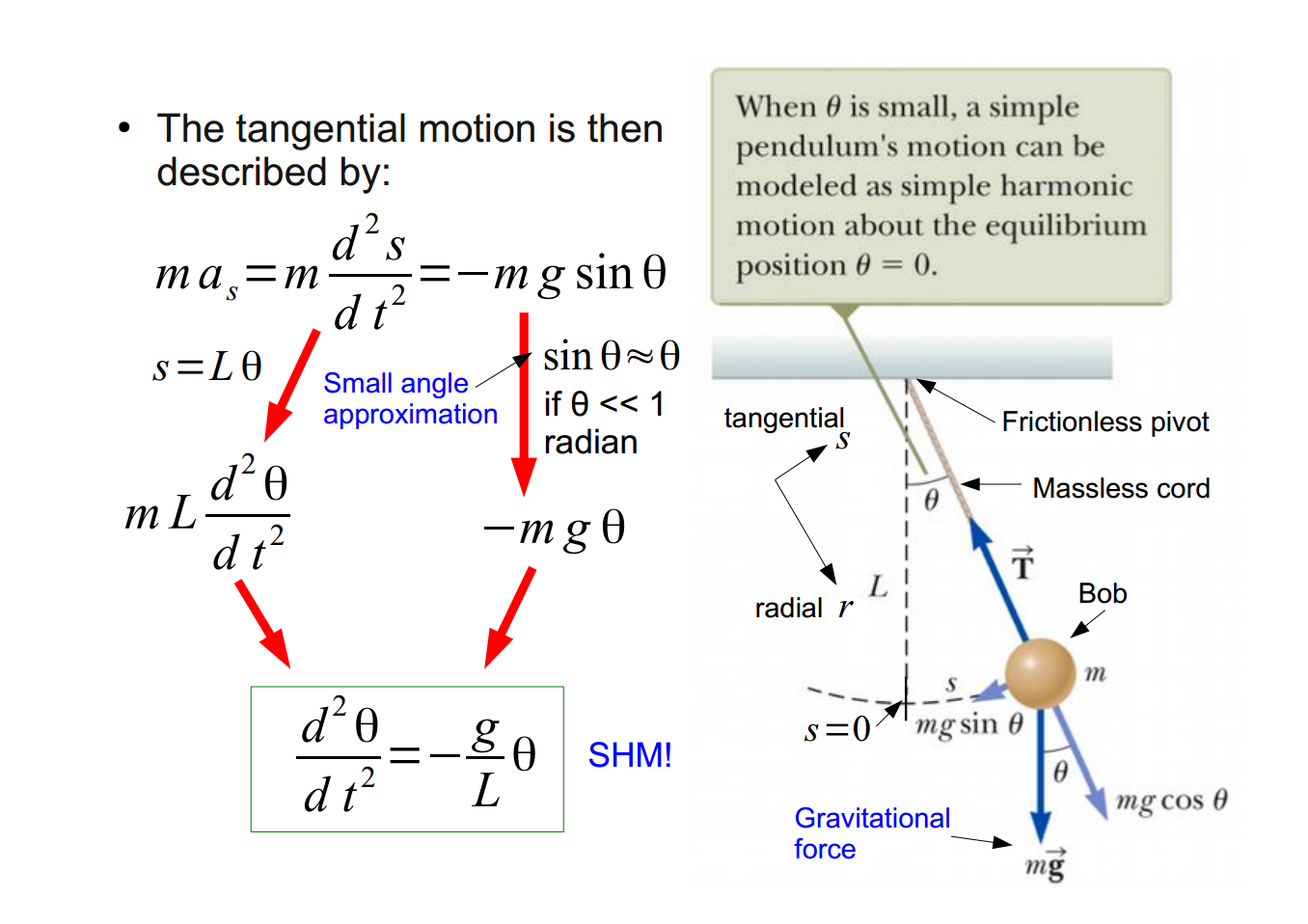 Machine generated alternative text:
• The tangential motion is then 
described by: 
—m g sin 0 
mas=m 
sin 
s=LO 
Small angle 
approximation 
When 0 is small, a simple 
pendulum's motion can be 
modeled as simple harmonic 
motion about the equilibrium 
position 0 
d20 
radian 
—mg 0 
SHM! 
tangential 
radial 
Frictionless pivot 
cord 
Bob 
mg sin 0 
Gravitational 
force 
mg cos 0 
mg 