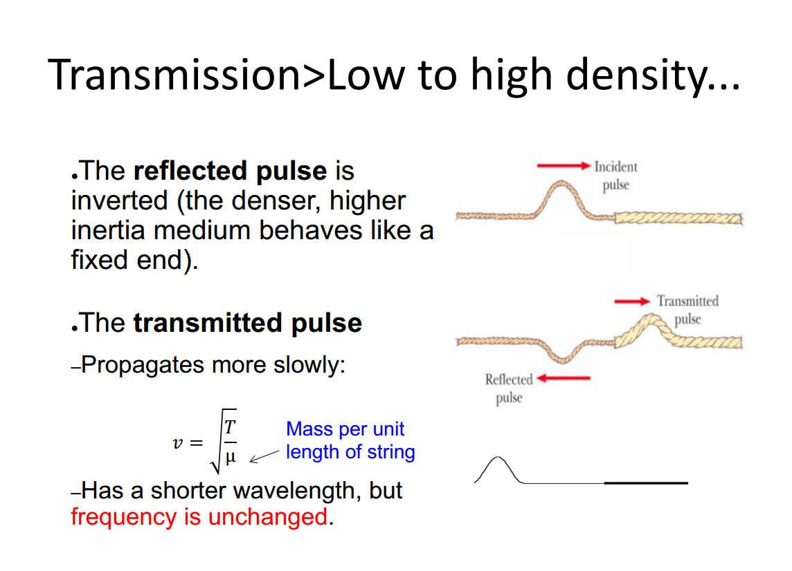 Machine generated alternative text:
Transmission>Low to high density... 
. The reflected pulse is 
inverted (the denser, higher 
inertia medium behaves like a 
fixed end). 
. The transmitted pulse 
-Propagates more slowly: 
pulse 
Mass per unit 
g length of string 
-Has a shorter wavelength, but 
frequency is unchanged. 
Transmitted 
pulse 